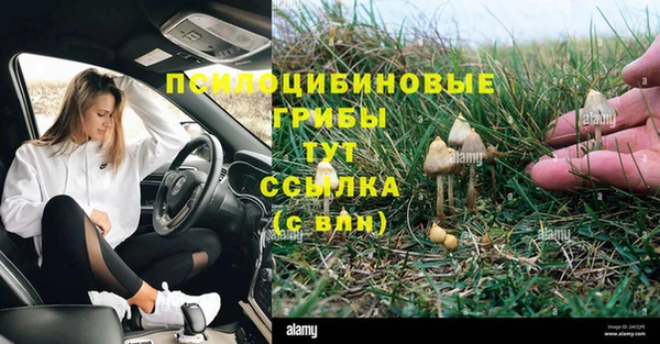 соль ск Покровск