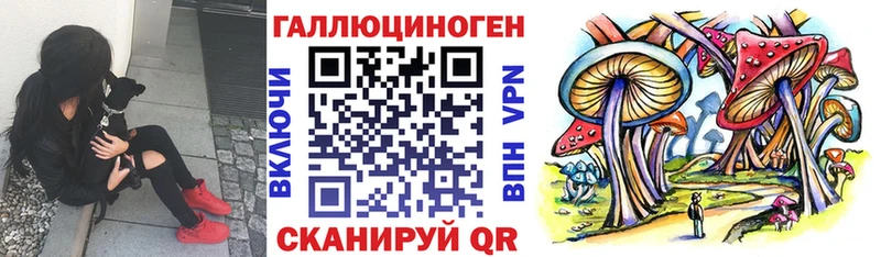 Псилоцибиновые грибы MAGIC MUSHROOMS  Харовск 